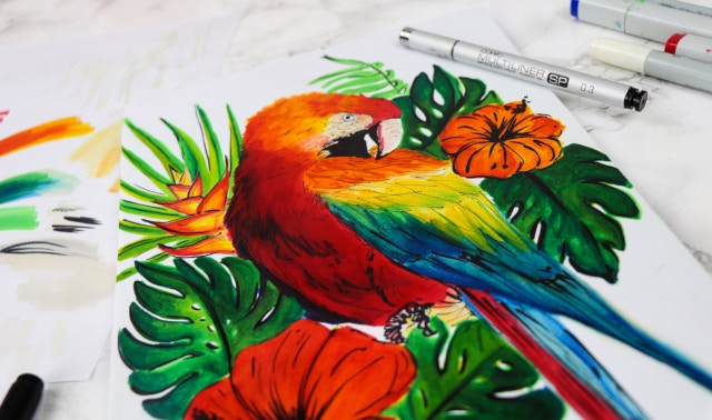 Marker drawing of a parrot using COPIC markers