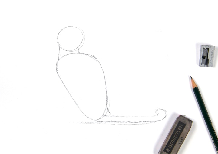 Sketch the body on drawing paper